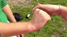 Traitement pour le tennis elbow - poignet